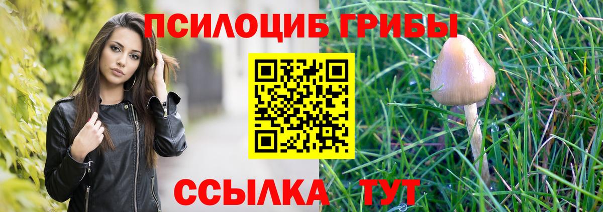Галлюциногенные грибы Psilocybe  купить  цена  Заволжье  Вход с VPN 